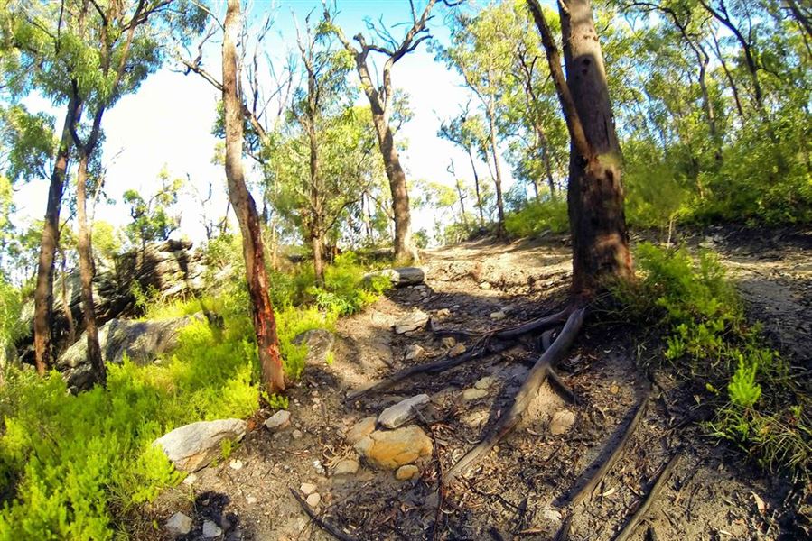 Yarrabilba Trail Fest